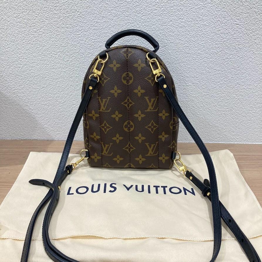 LV　パームスプリングス バックパック MINI　M44873